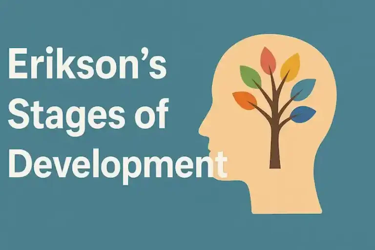 Understanding Erikson’s Stages of Development: A Journey Through Life