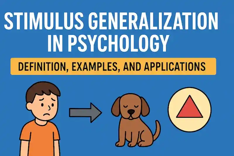 Stimulus Generalization in Psychology: A Comprehensive Guide to Definition, History, Examples & Applications